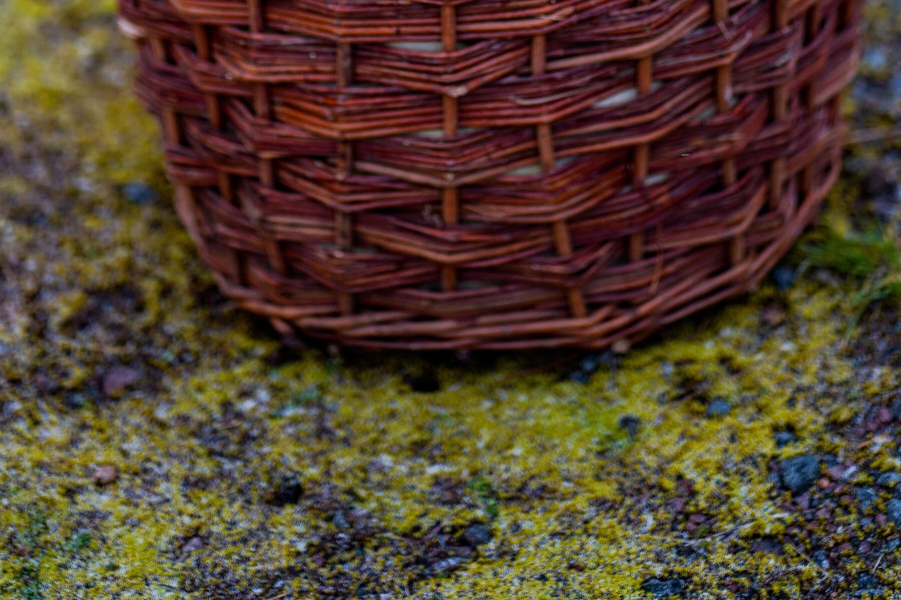 Cesta de mimbre llena de fruta de temporada