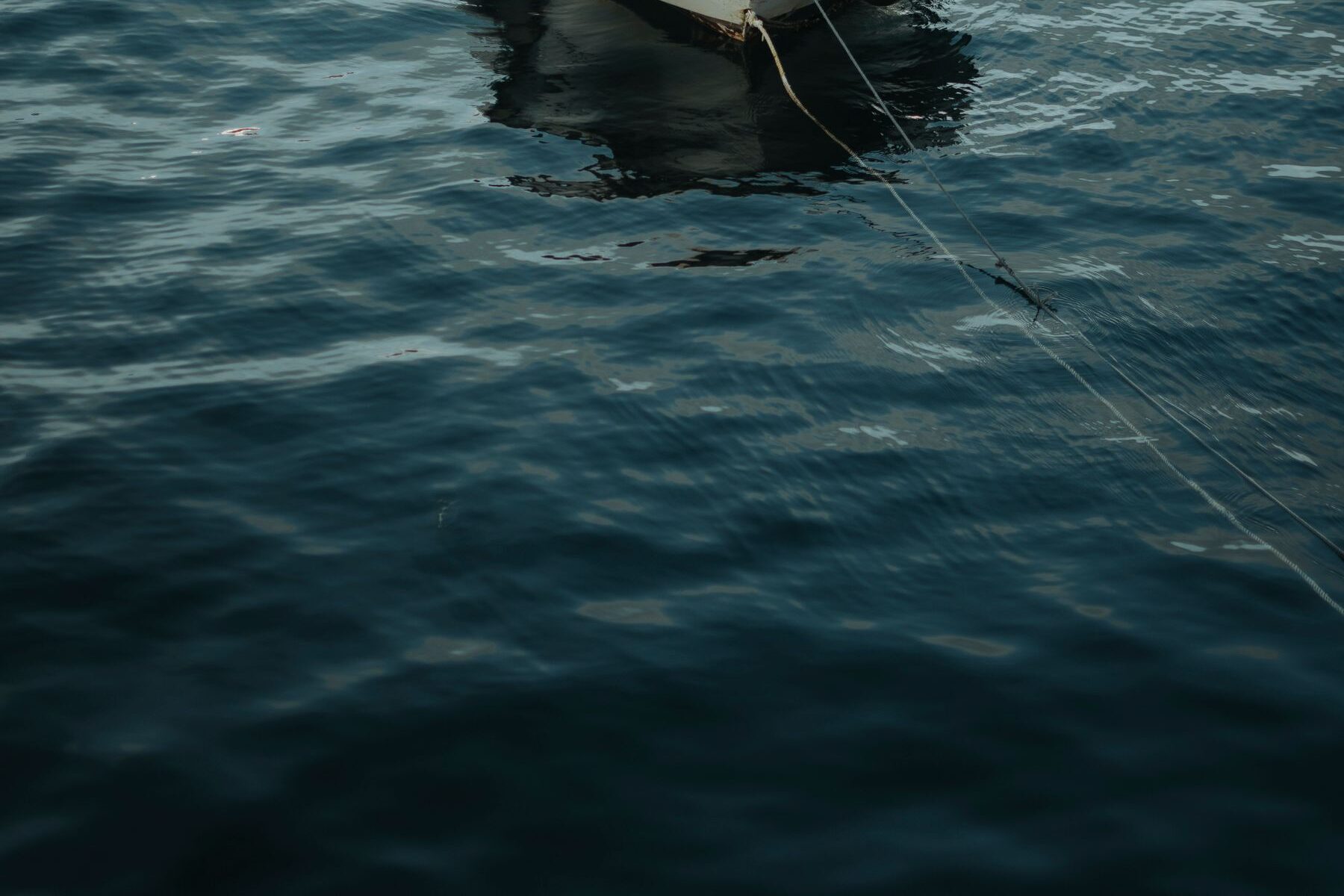Barca fondeada en aguas tranquilas