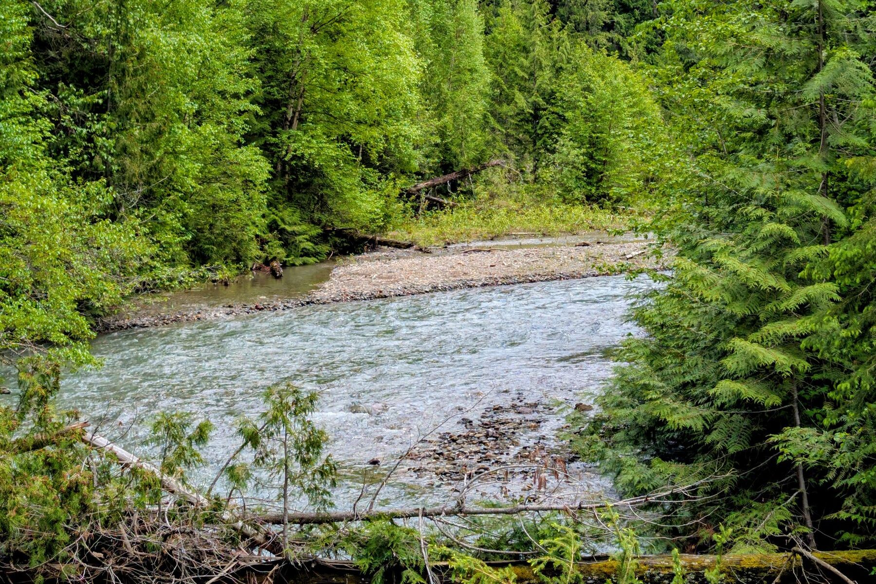 Río de montaña discurriendo entre el bosque y la piedra